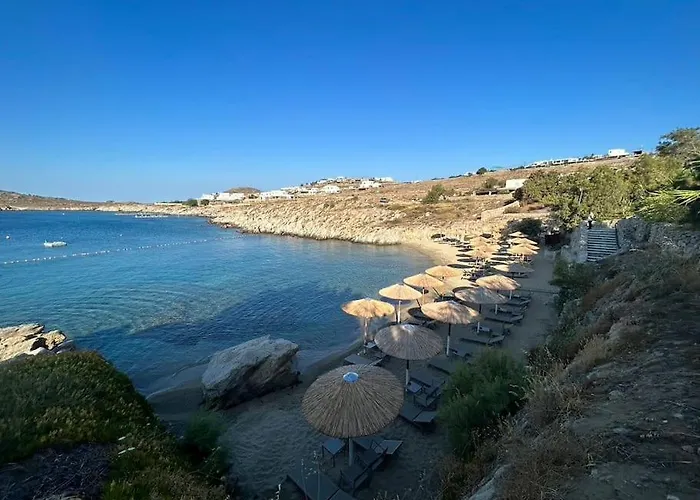 Laullie オルノス